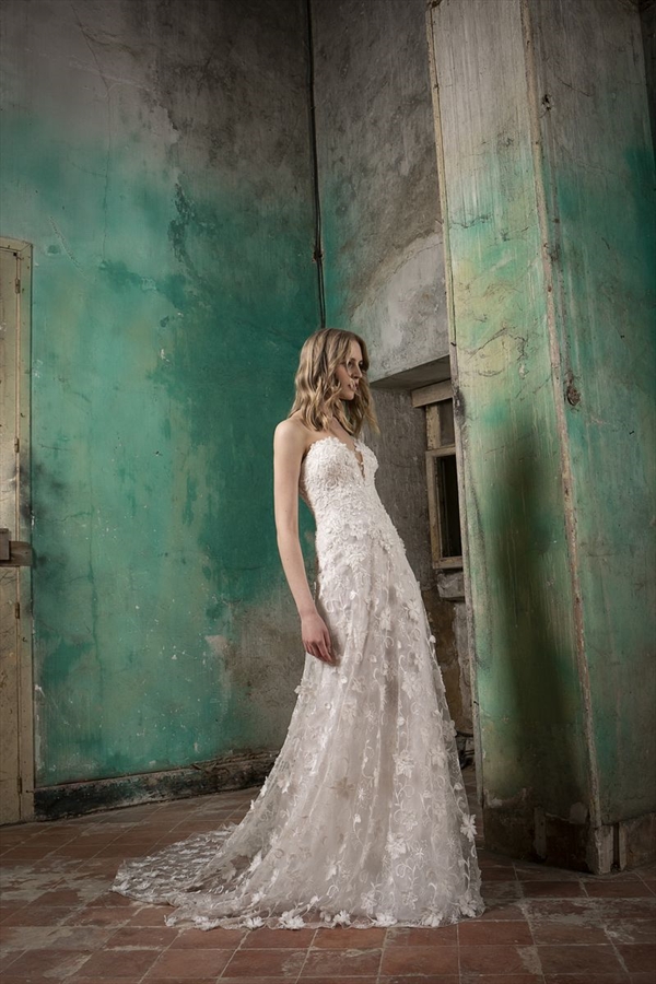 Tony Ward（托尼·沃德）