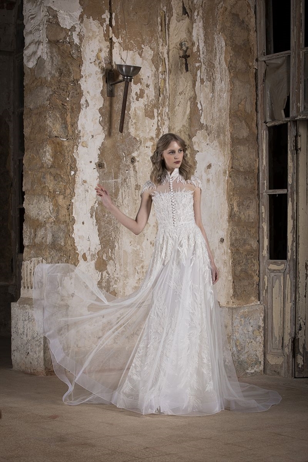 Tony Ward（托尼·沃德）