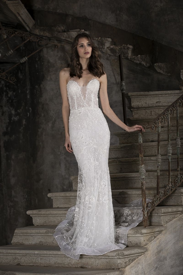 Tony Ward（托尼·沃德）