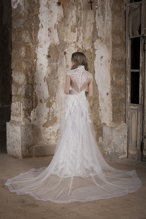 Tony Ward（托尼·沃德）